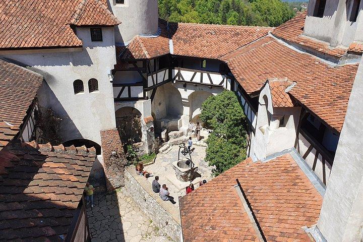 8h Dracula's Castle Private Tour from Bucharest - Fast Tour