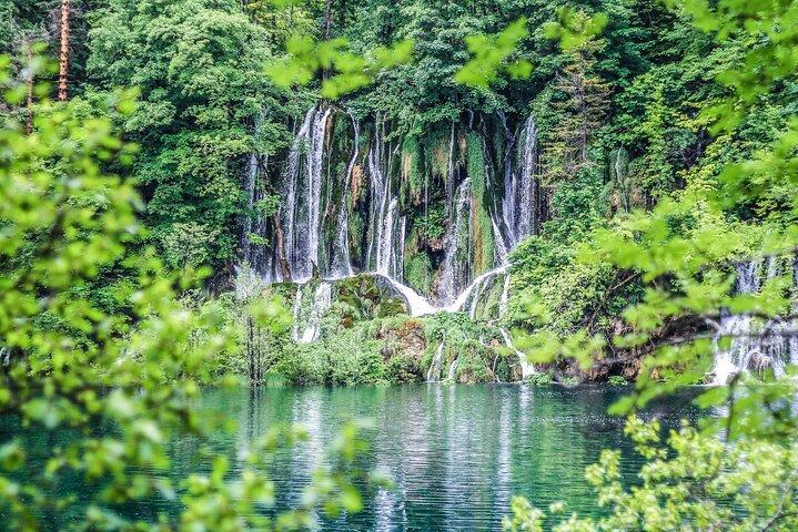 ザダル発プリトヴィッツェ湖群国立公園の 1 日ツアー