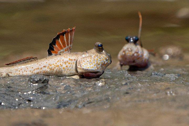 ウビン島。シンガポールの最後の村