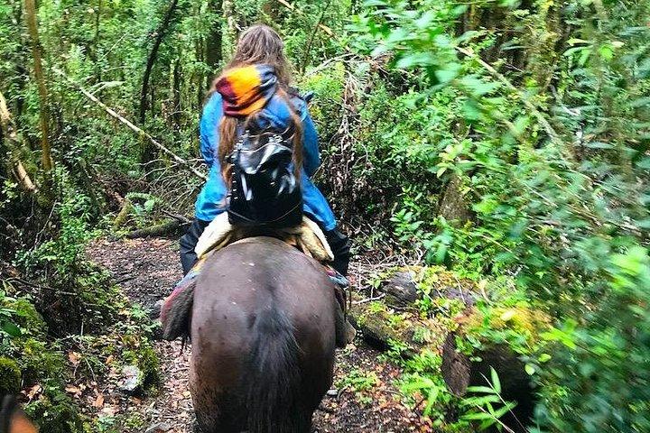 Private CAYUTUE Horse ride