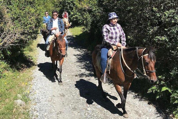 Private CAYUTUE Horse ride