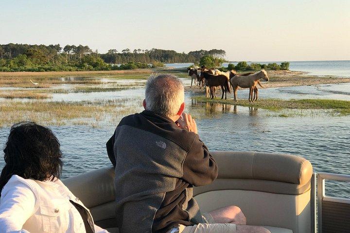 Chincoteague's and Assateague’s Grand Boat Tour with Capt.John