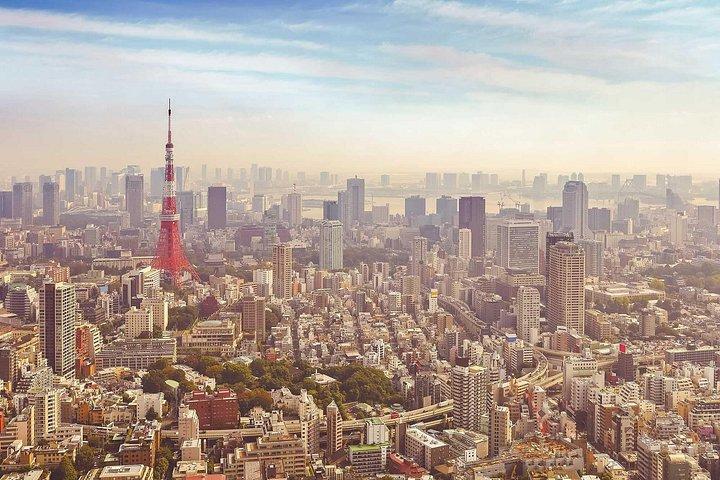 Tokyo og Kanto privat tilpasset dagstur