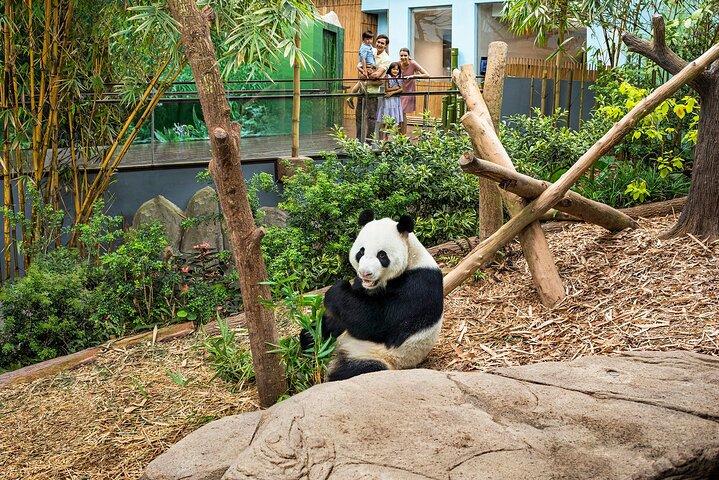 Singapur: entrada a River Wonders