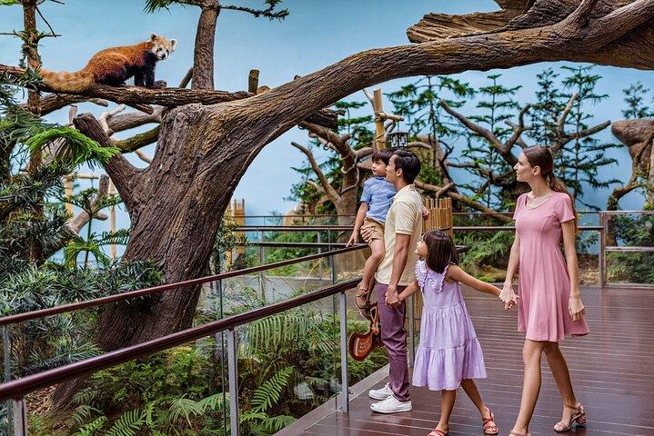 Singapur: entrada a River Wonders