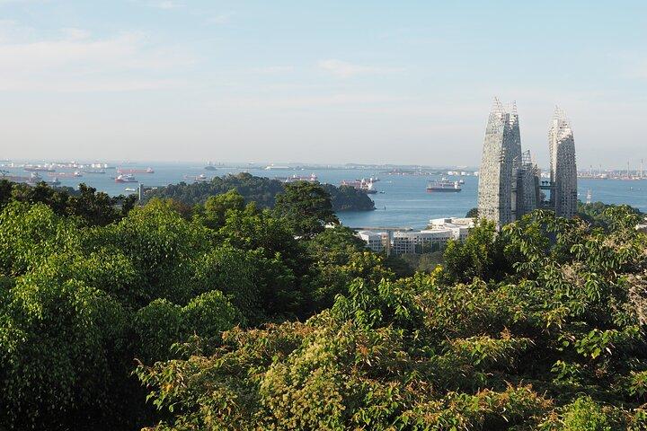 Tour del Monte Faber, Henderson Waves e Southern Ridges