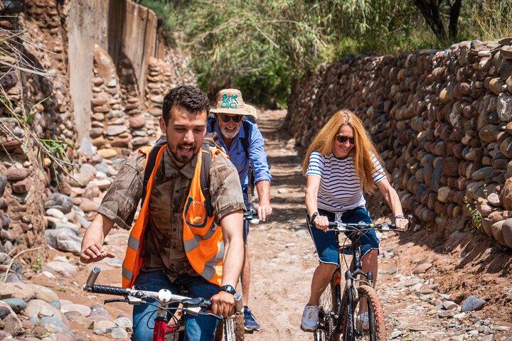 Suncycling in Marrakech's Palm Groove - Breakfast Included