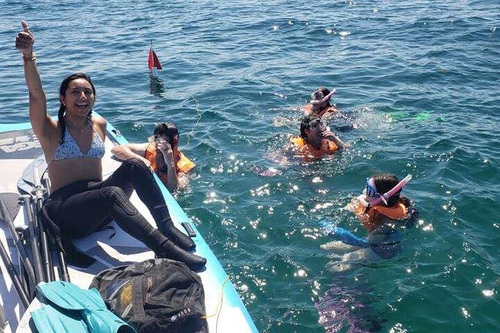 初心者に優しい島シュノーケリング