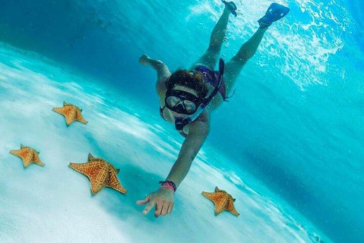 Cozumel Cielo Snorkel Adventure desde Cancún y Rivera Maya