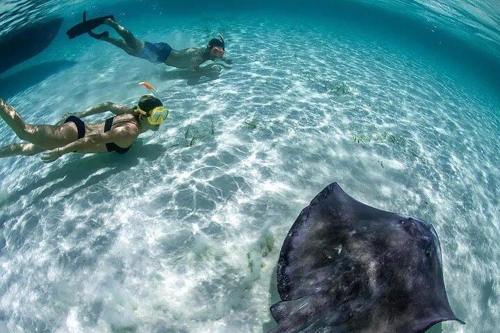 Cozumel Cielo Snorkel Adventure de Cancun e Rivera Maya