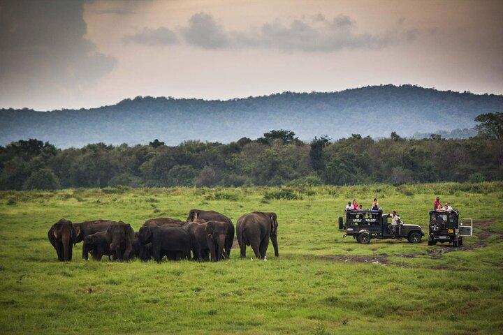 Ela: Transfer para Tangalle/Mirissa/Galle & Yala/Udawalawe Safari