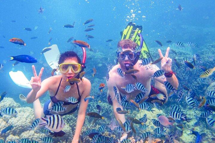 Cham Island World Biosphere Gids Dagtour vanuit Da Nang of Hoi An
