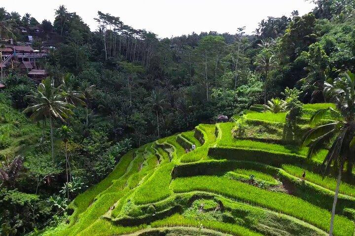Visite Bali Ubud