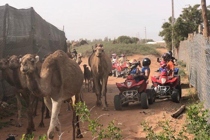 Aventura en quad de Agadir en Desert & Beach con pausa para el té