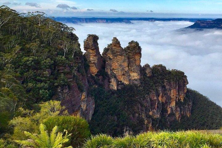 Tour Privado Blue Mountains desde Sydney