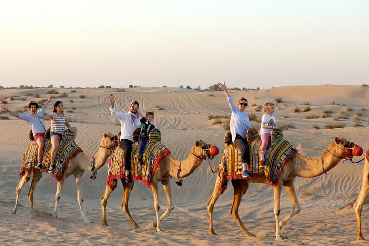 Evening Camel Caravan, Bedouin Dinner with Al Marmoom Oasis