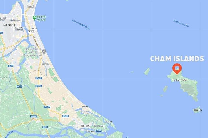 Excursão de um dia pela Guia Mundial da Biosfera da Ilha Cham a partir de Da Nang ou Hoi An
