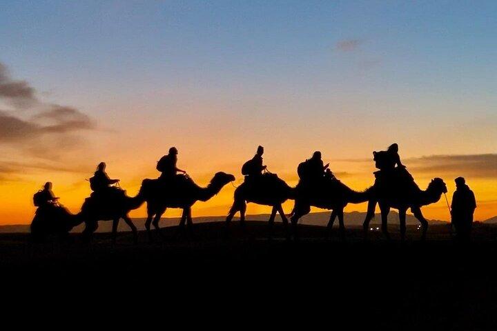 1 Noite de Camelo em Merzouga
