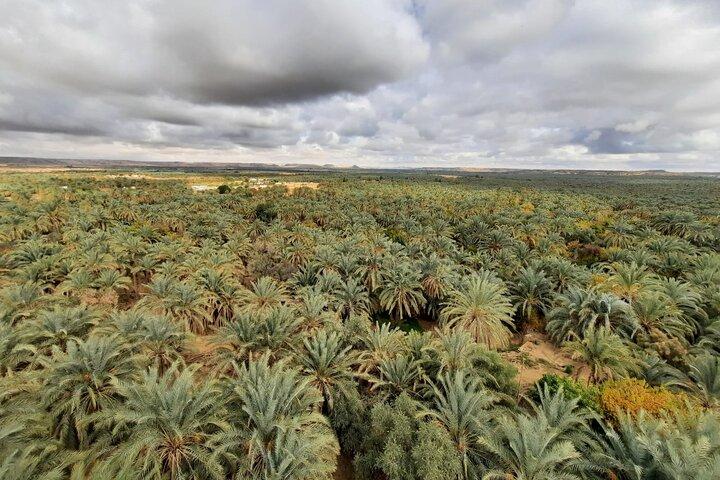 Kairo dagstur till El Fayoum