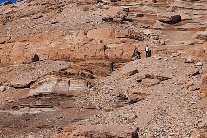 Kairo Tagestour nach El Fayoum
