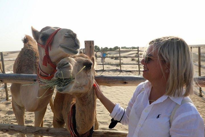Dubai: Camel Caravan, Bedouin Breakfast with Al Marmoom Oasis