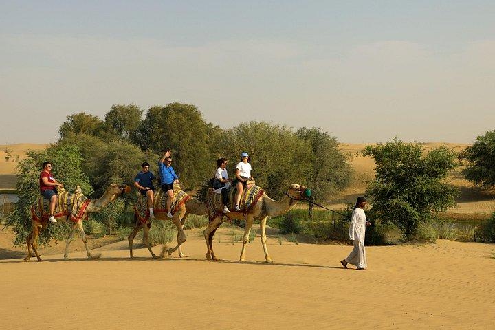 Dubai: Kamelkarawane, Beduinenfrühstück mit Al Marmoom Oasis