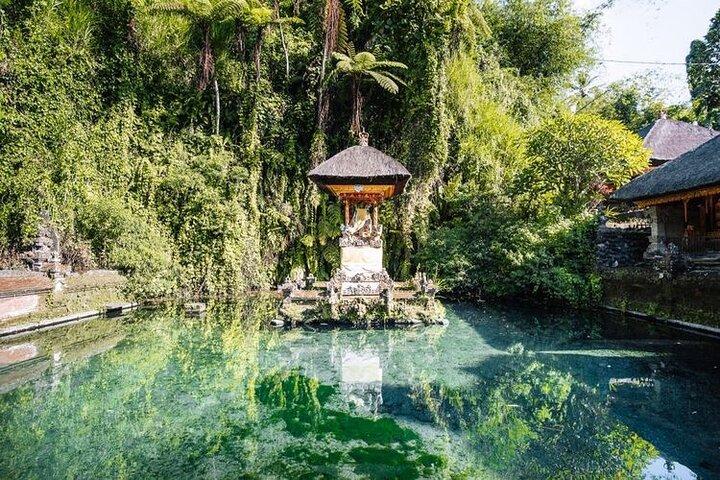 Melhor passeio em Ubud