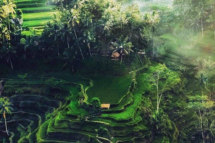 Pontos Turísticos de Bali