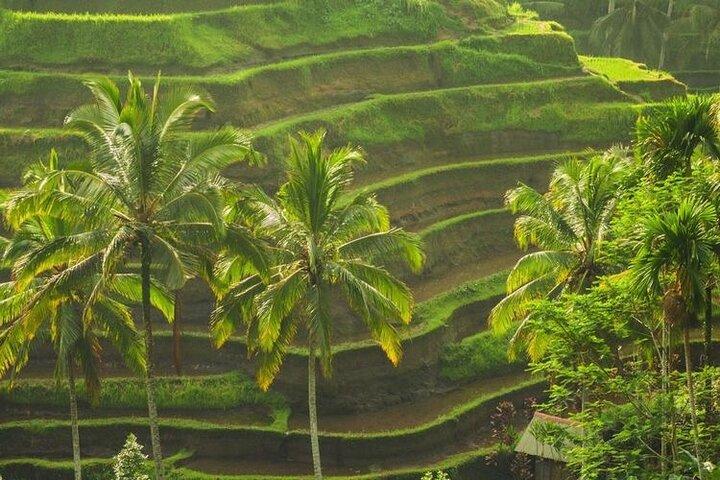 Pontos Turísticos de Bali