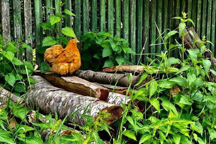 ヨーロッパ最大の塩鉱山とカルパティアの本物の村
