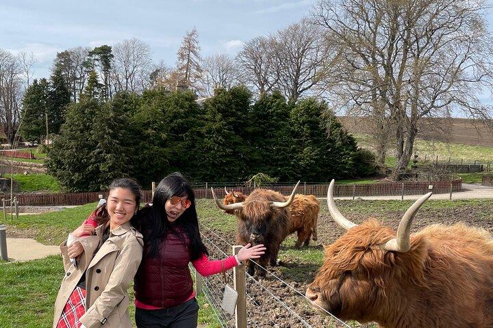 Tour del whisky di Speyside
