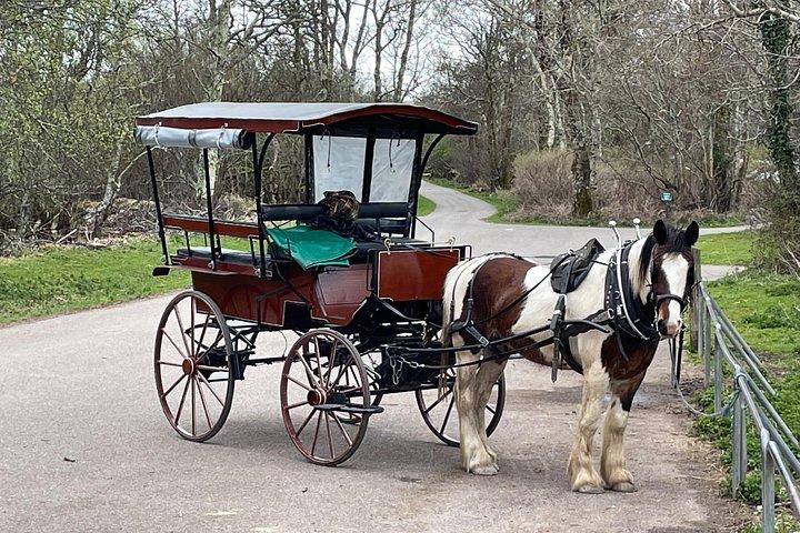 キラーニーの馬車ツアー