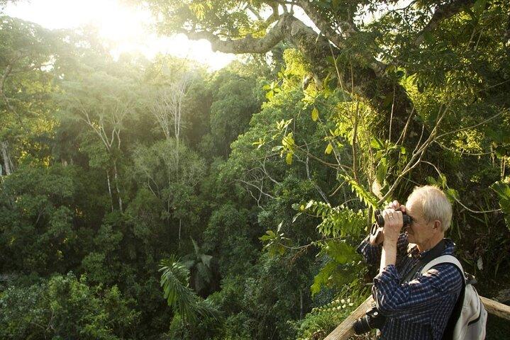 Tour privato di un giorno al Parco nazionale di Cuc Phuong: trekking e primati