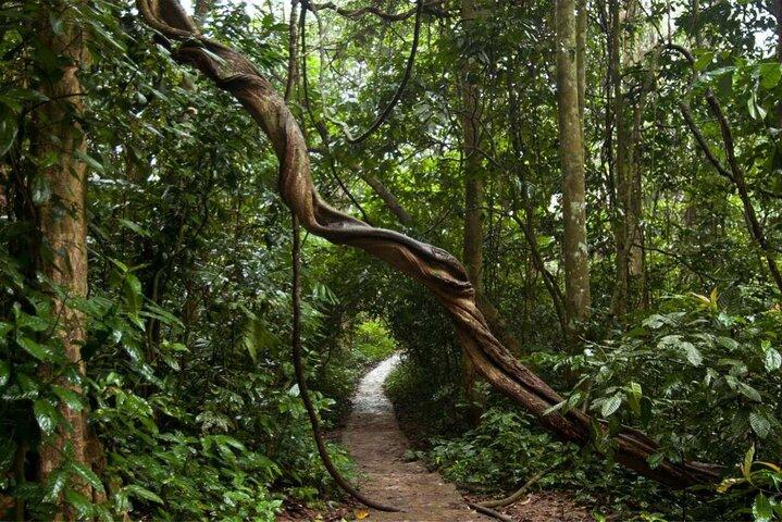 Cuc Phuong National Park Private Day Tour from Hanoi