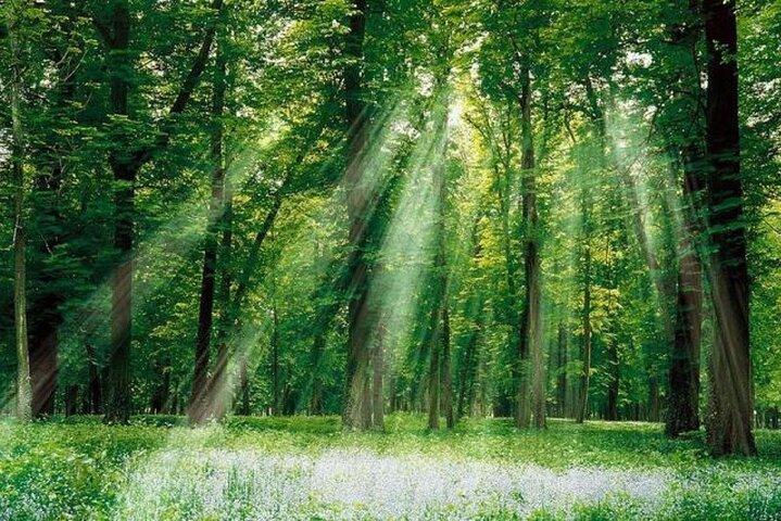 Cuc Phuong National Park Private Day Tour from Hanoi