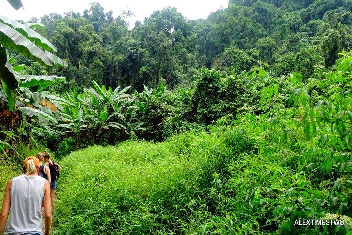 Cuc Phuong National Park Private Day Tour from Hanoi