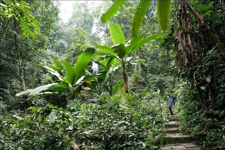 Cuc Phuong National Park Private Day Tour from Hanoi
