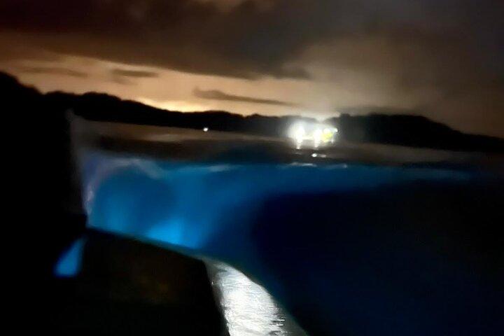 Sunset bioluminescence tur med båd
