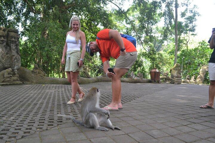 Hoteller i nærheden af Ubud Monkey Forest Sanctuary