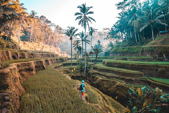 3 Day Bali Private Tour – Explore Bali Highlights