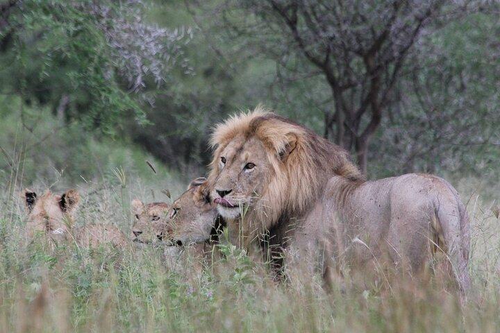 4-Day Pristine Tanzania Safari