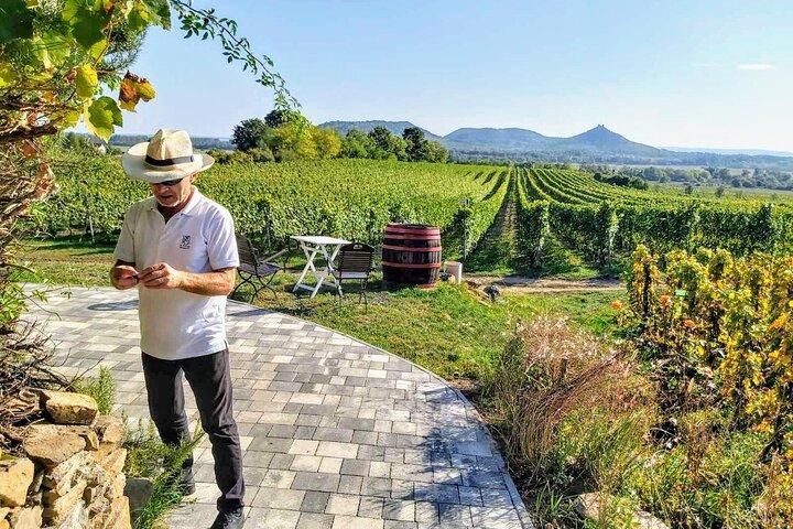 Balatonsjön privat vinprovning och Tihany tur från Budapest