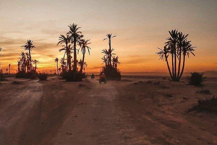 Marrakech Palmeraie: Camel Ride at Sunset