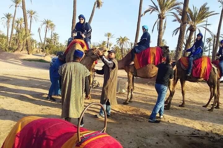 Marrakech Palmeraie: Camel Ride at Sunset