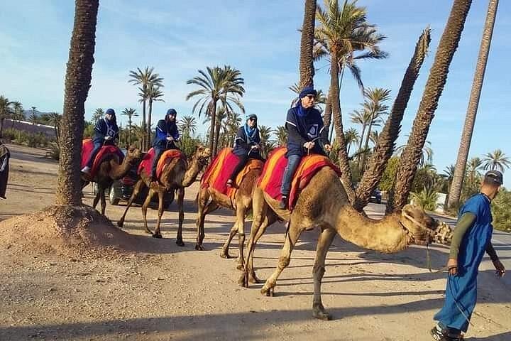 Marrakech Palmeraie: Camel Ride at Sunset