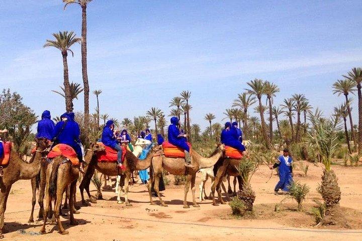 Marrakech Palmeraie: Camel Ride at Sunset