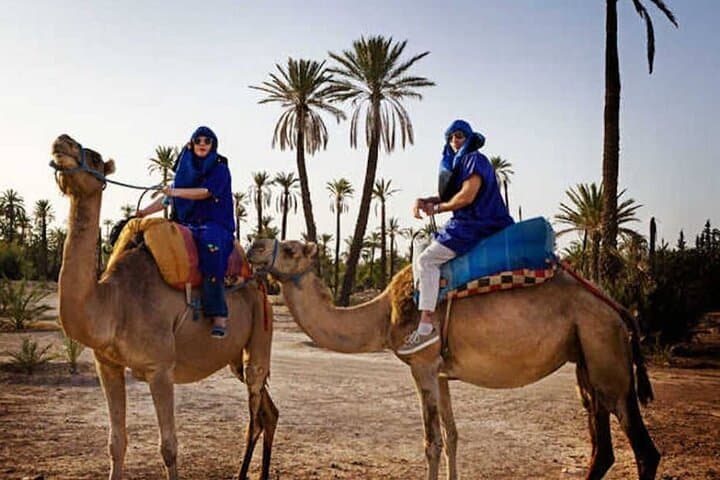 Marrakech Palmeraie: Camel Ride at Sunset