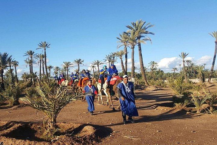 Marrakech Palmeraie: Camel Ride at Sunset
