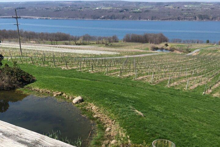 Excursão de degustação de vinhos do Lago Seneca South