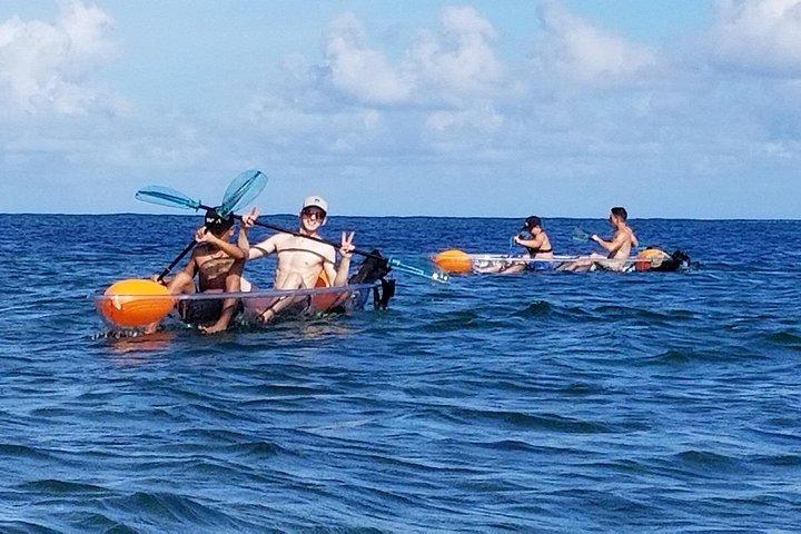 Clear Bottom Kayak - Guaranteed to see Turtles!